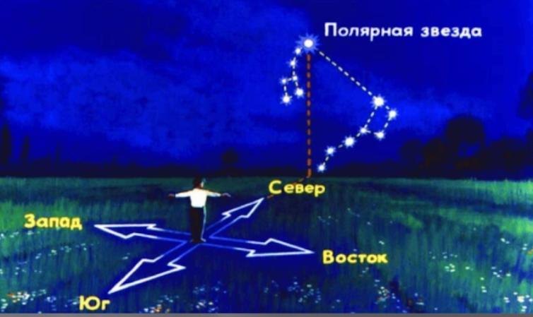 У якому напрямку рухається людина якщо вона бачить полярну зорю праворуч від себе